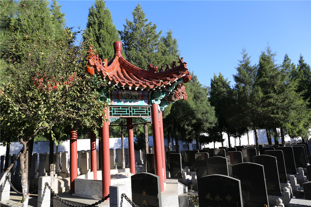 墓区